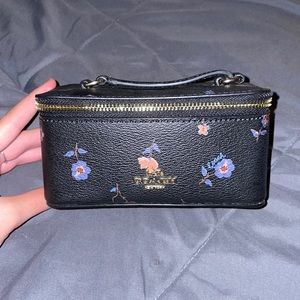 coach mini bag